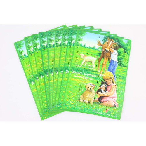 Lot blocs 96 jeunes - blocs,