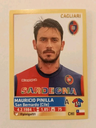 Panini calciatori 2013 - panini,