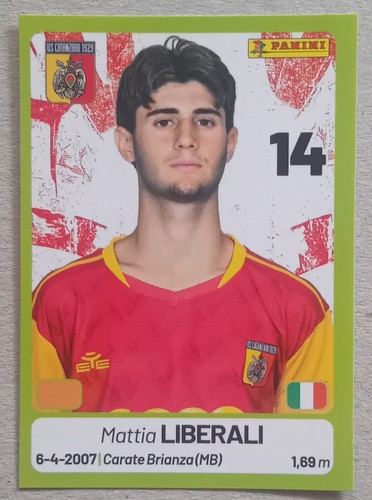 Figurina calciatori panini - figurina,